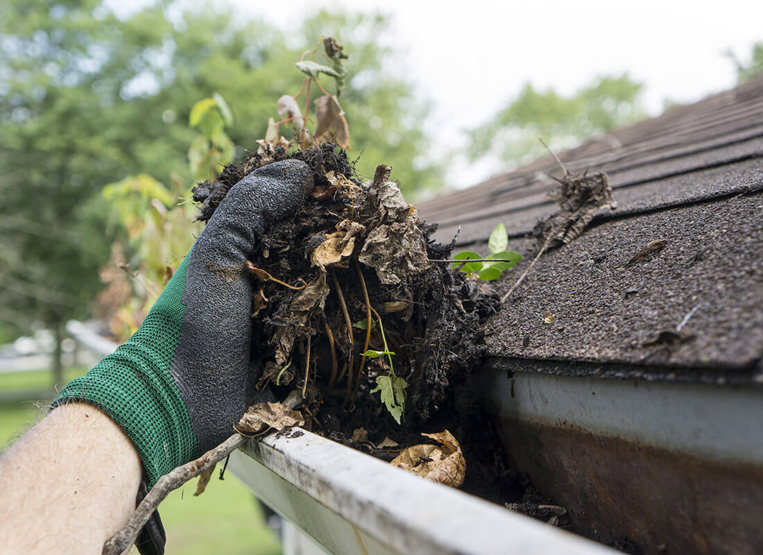 gutter cleaning